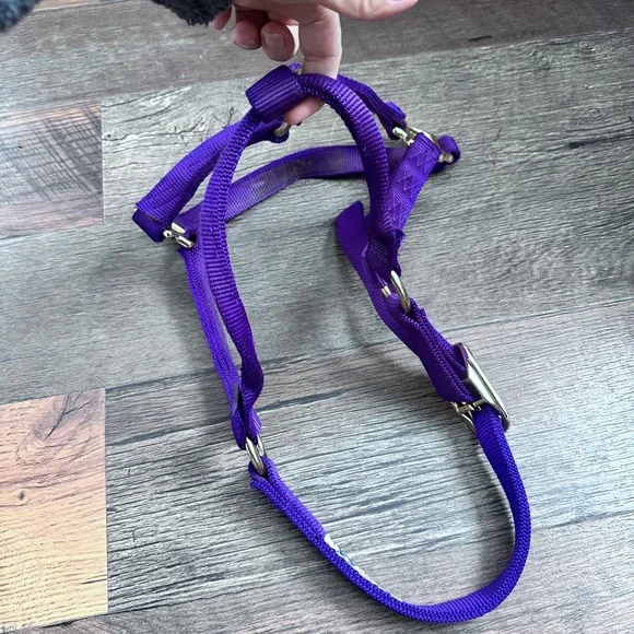 Purple Horse Halter - Picture 2 of 5